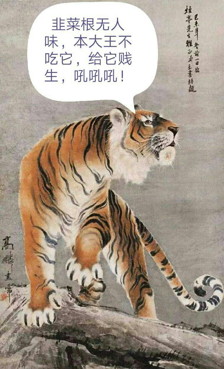 千年韭菜根众生相