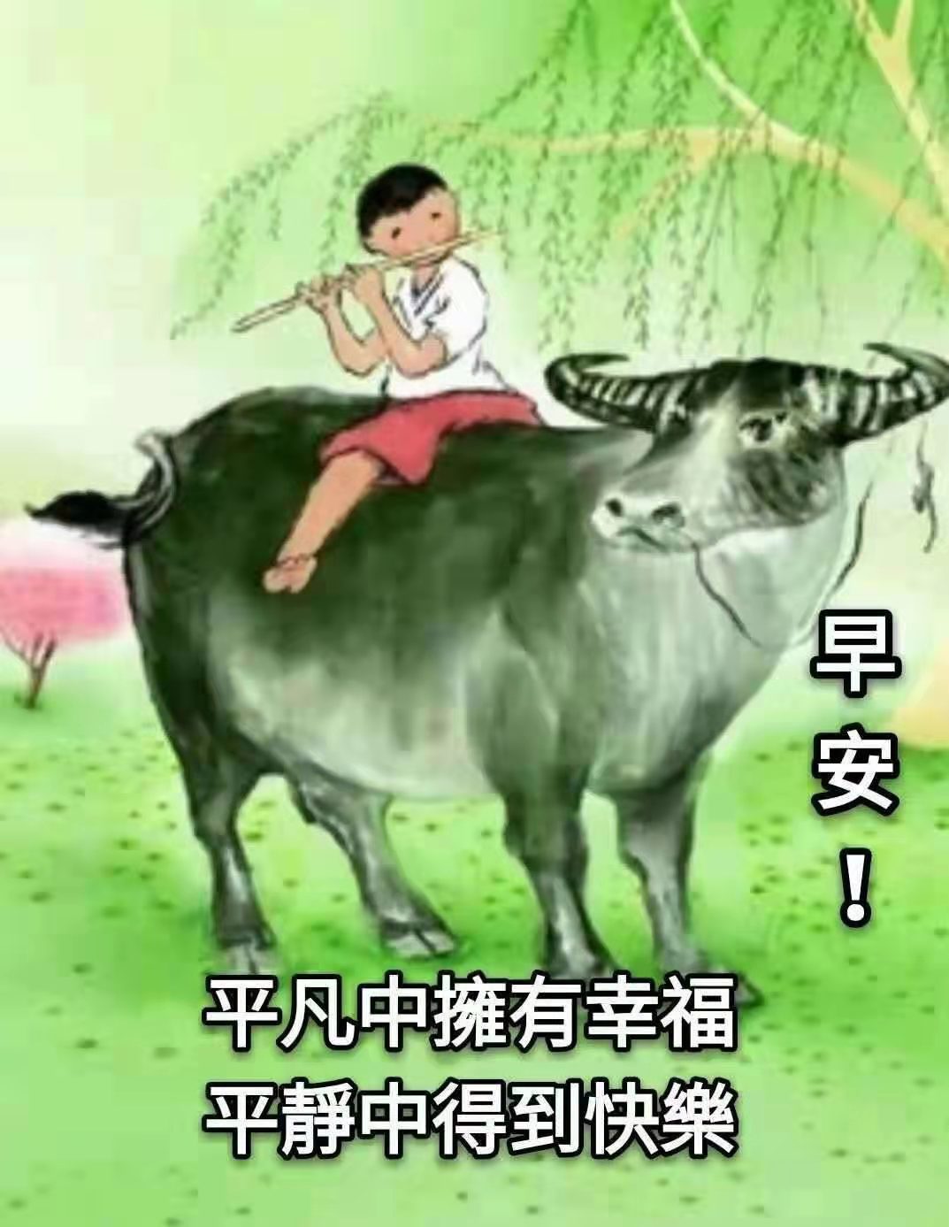 坚定不移的买超低价优质股