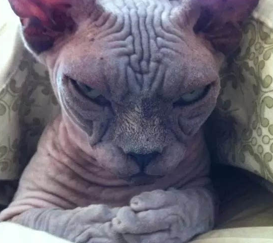 唱空狗的样子真难看