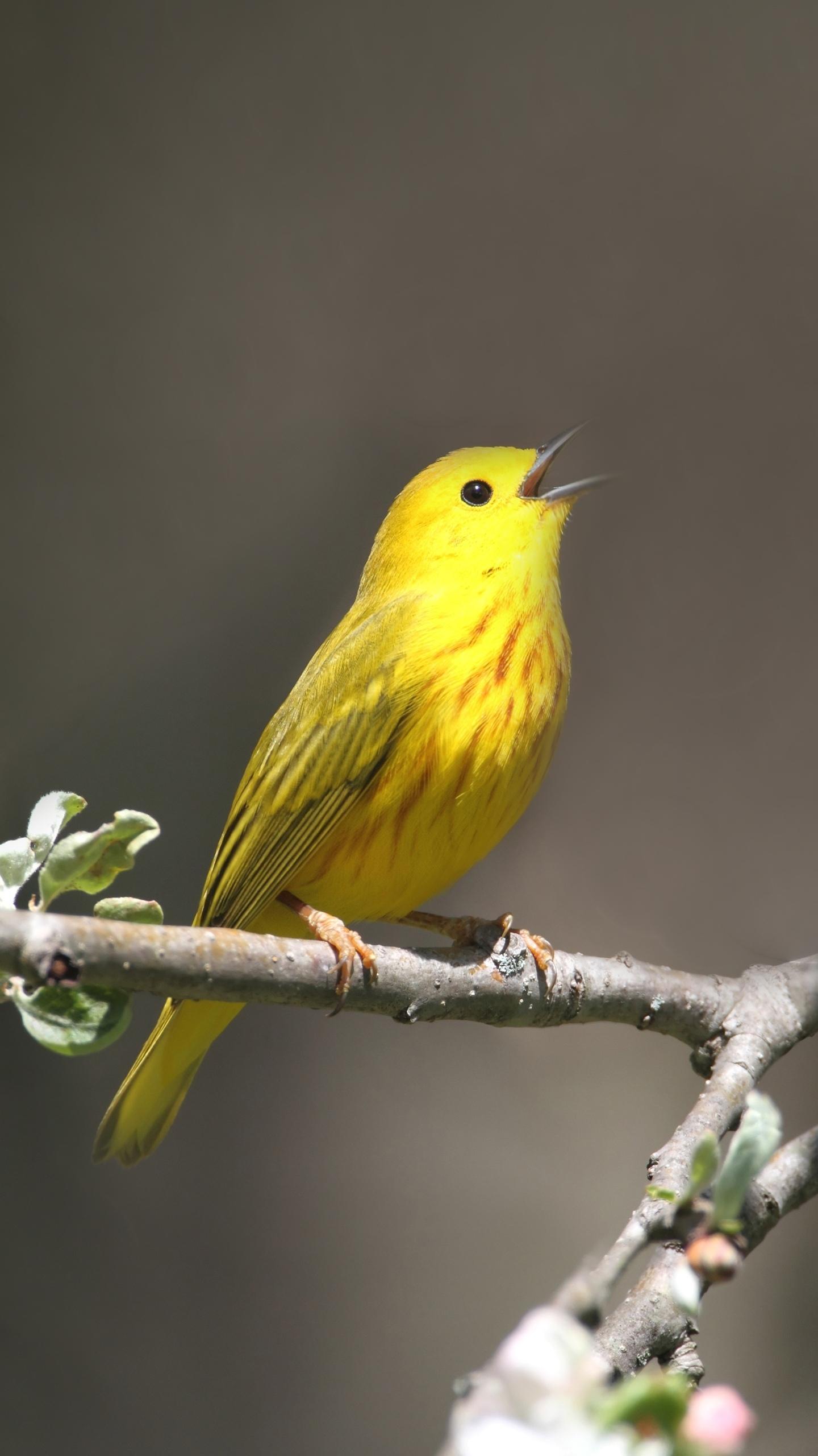 一个字,好股票就得捂住,你们也别吃饱了没事来乱弹