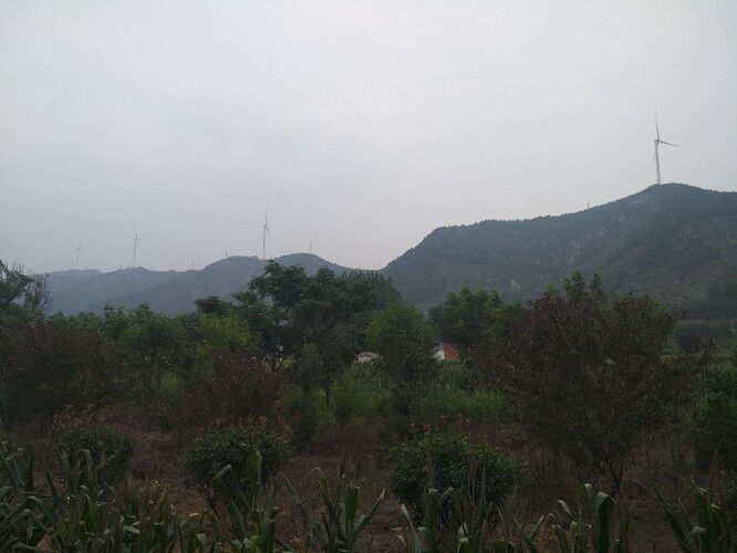 我叫大山解说 619A770E71BF8A3ED3A797B3F3F3FFB3_w1333h1000.jpg