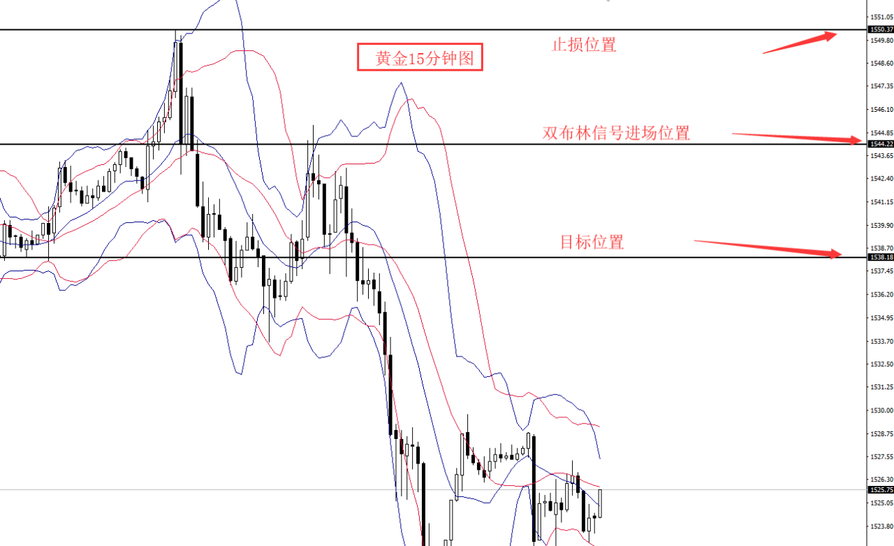 博客來 布布維盈新世代舒壓相機背帶