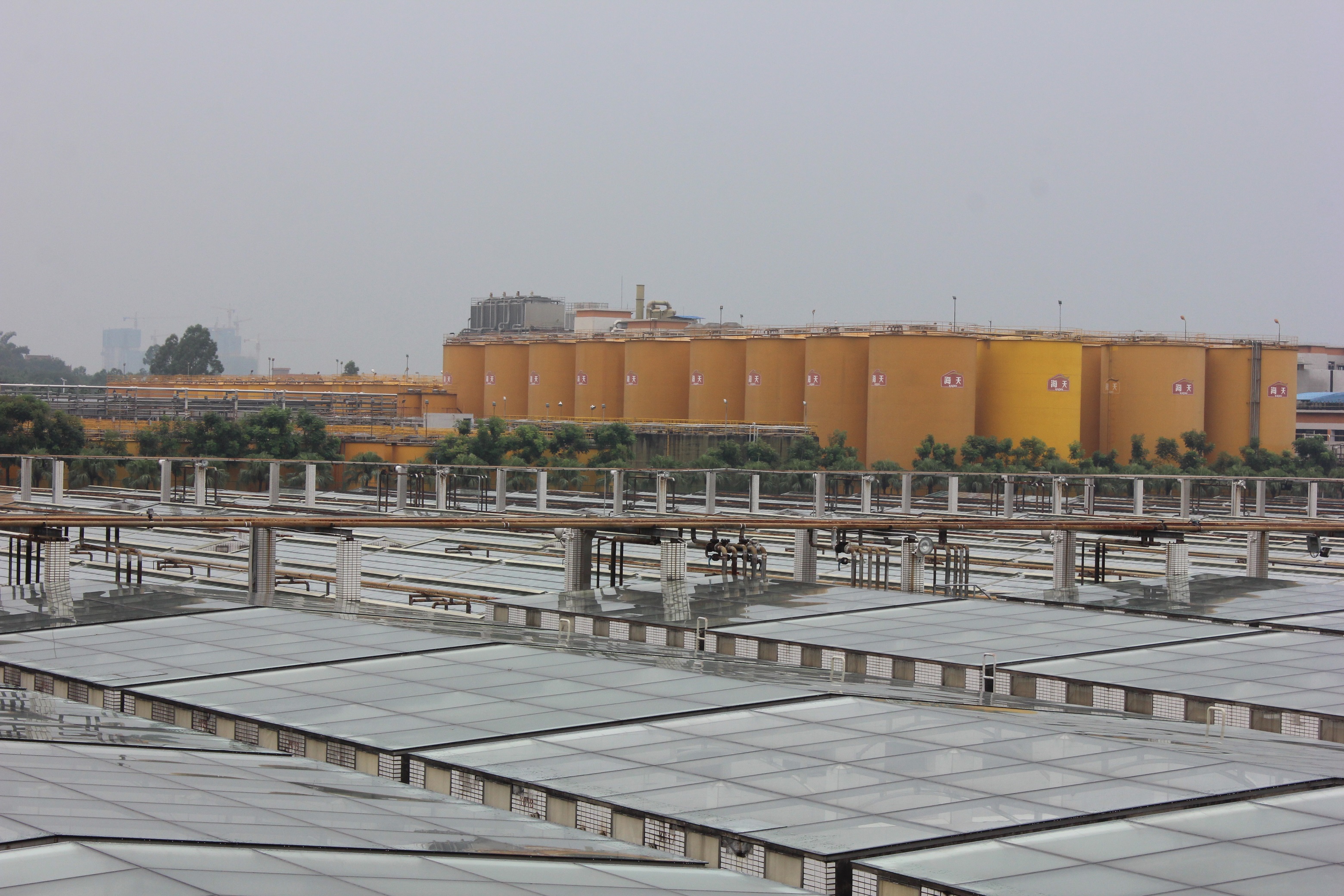 海天酱油邀你参观阳光大晒场