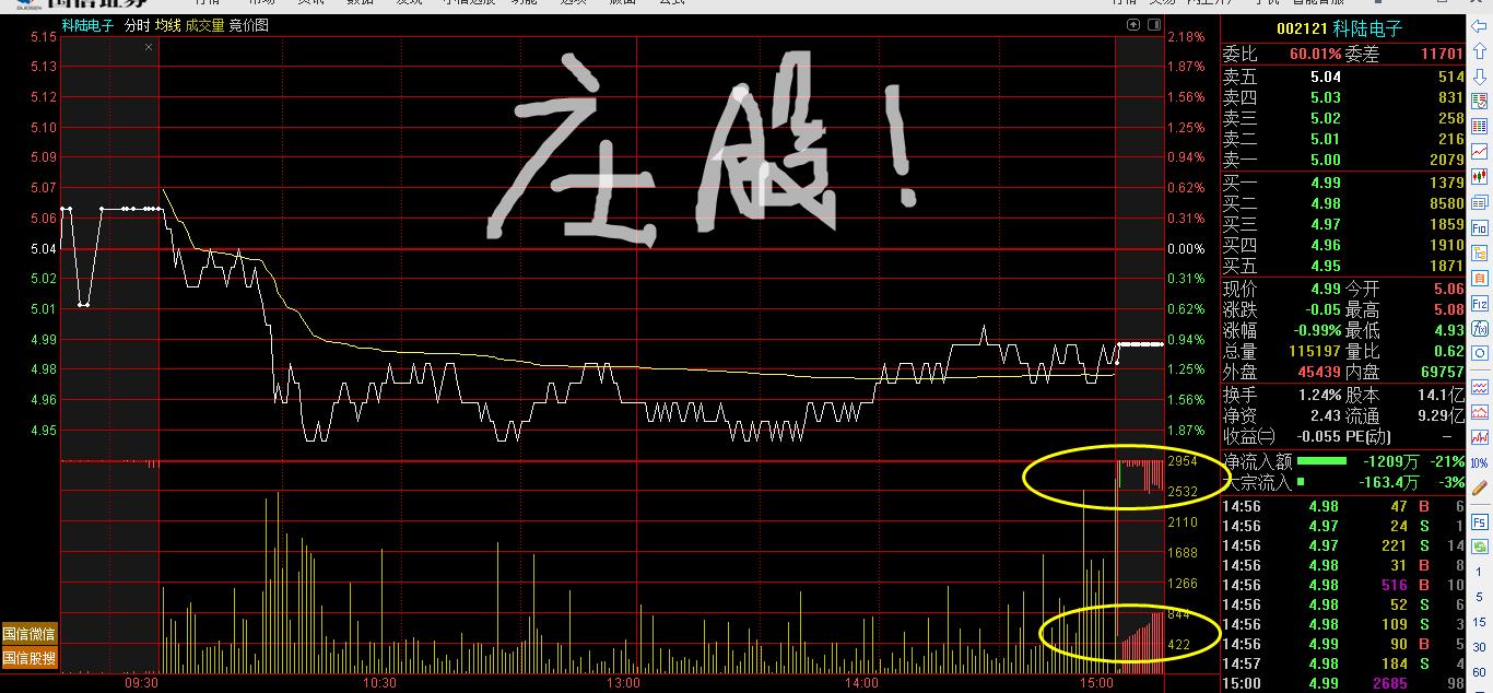 分时走势就是一个庄股