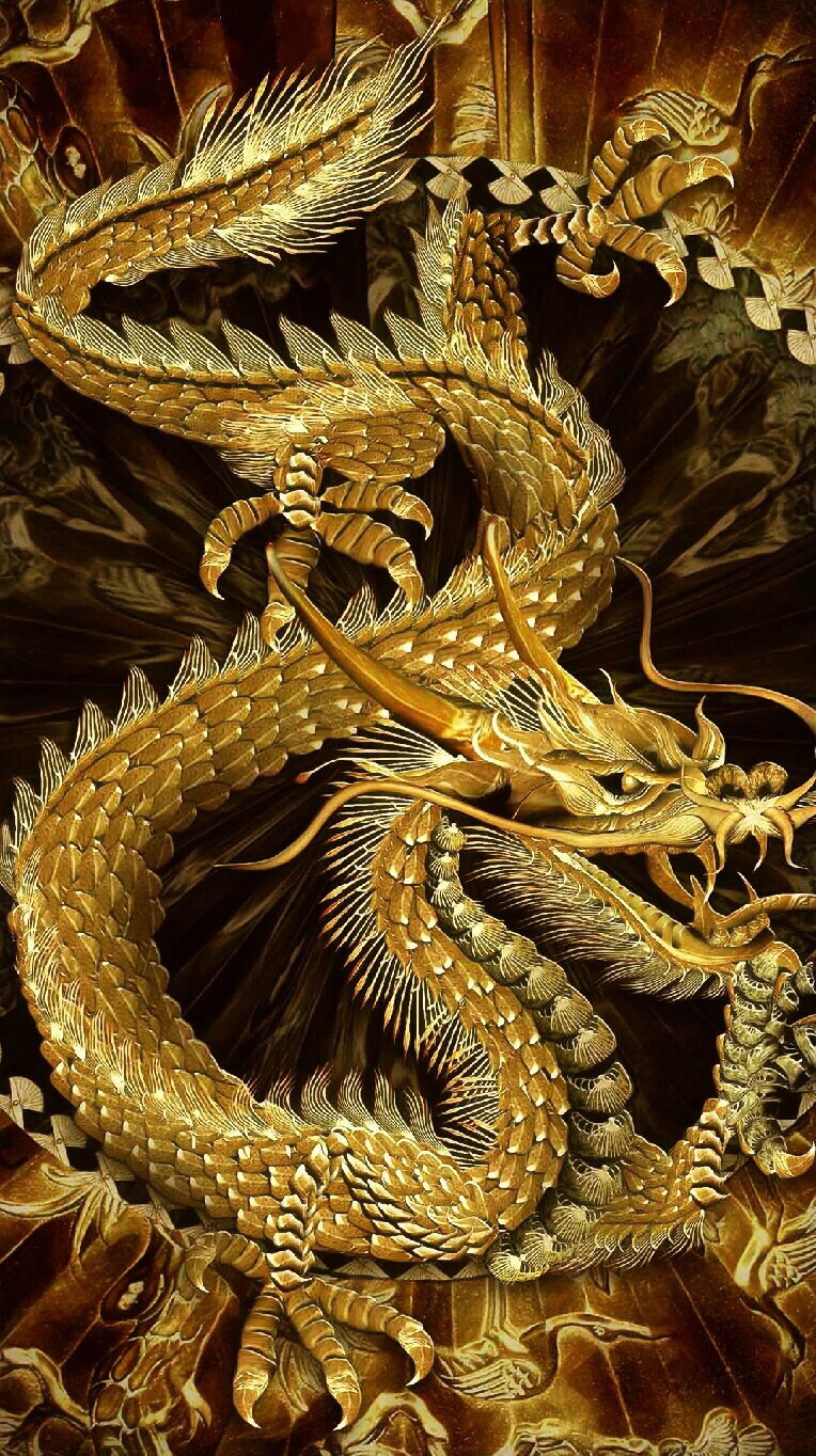 作为华夏儿女龙的传人 金龙不拉升让其滕飞 对得起老祖宗吗 对得起70