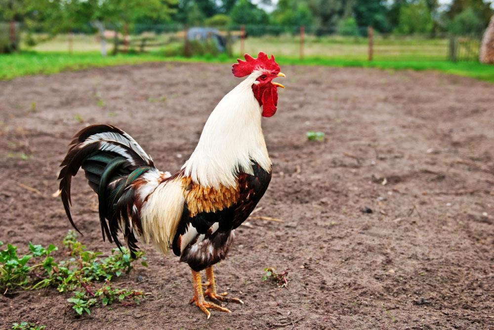 无题————东方财富网博客