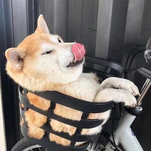 区块链是什么?区块链是分布式数据存储现在哪