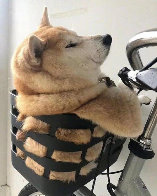 区块链是什么?区块链是分布式数据存储现在哪