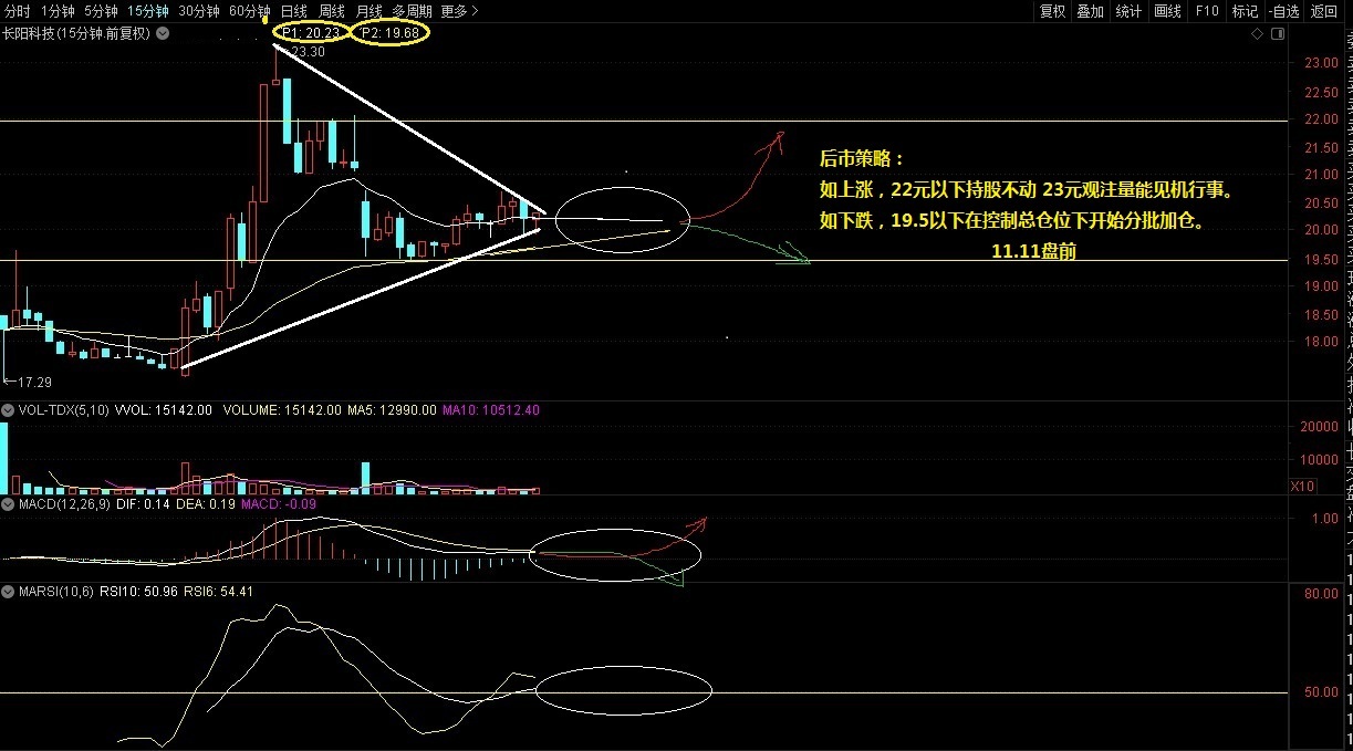 11月8日周五688299长阳科技盘后数据透析