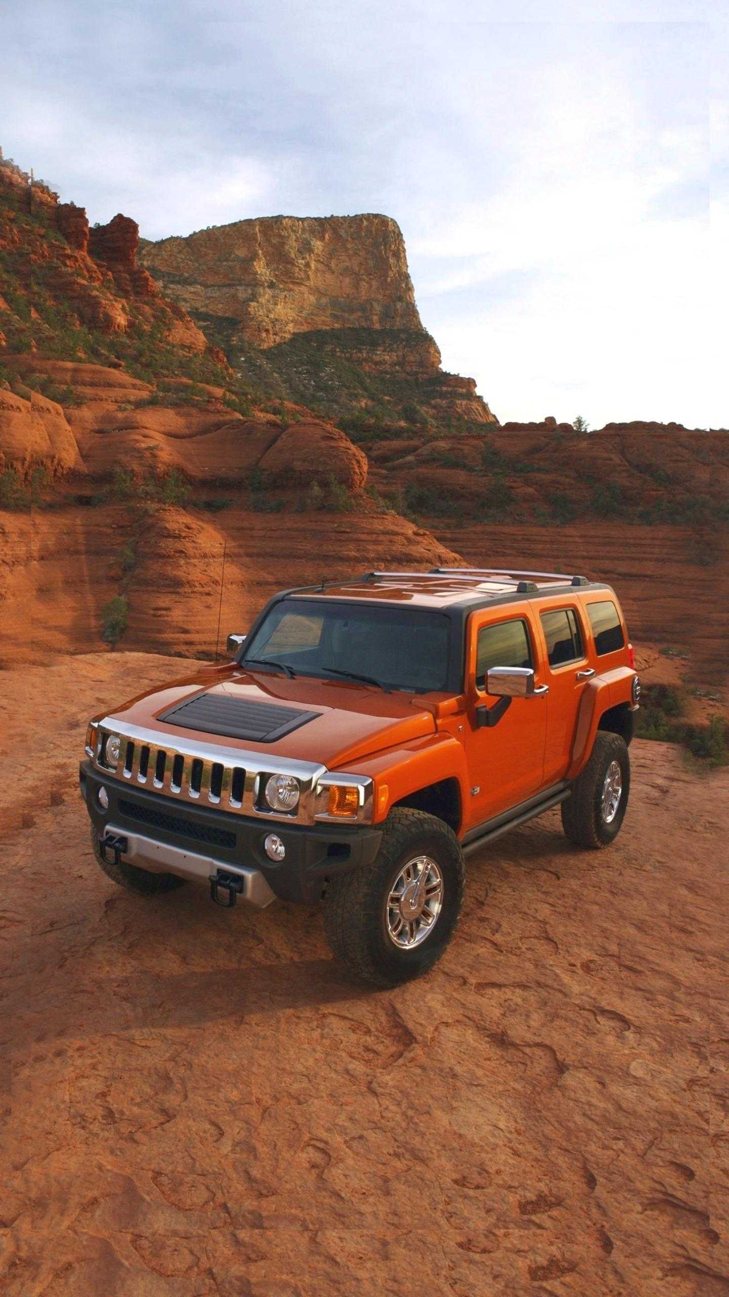 这波跟随板块调整,调整的幅度有点大,哥哥原准备在3