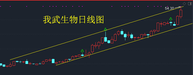 春风动力、宇瞳光学——月线多方炮