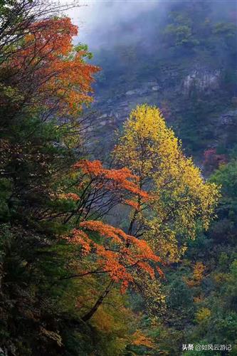 跑路吧,今天割肉走了,赔55w,玩别的股吧。