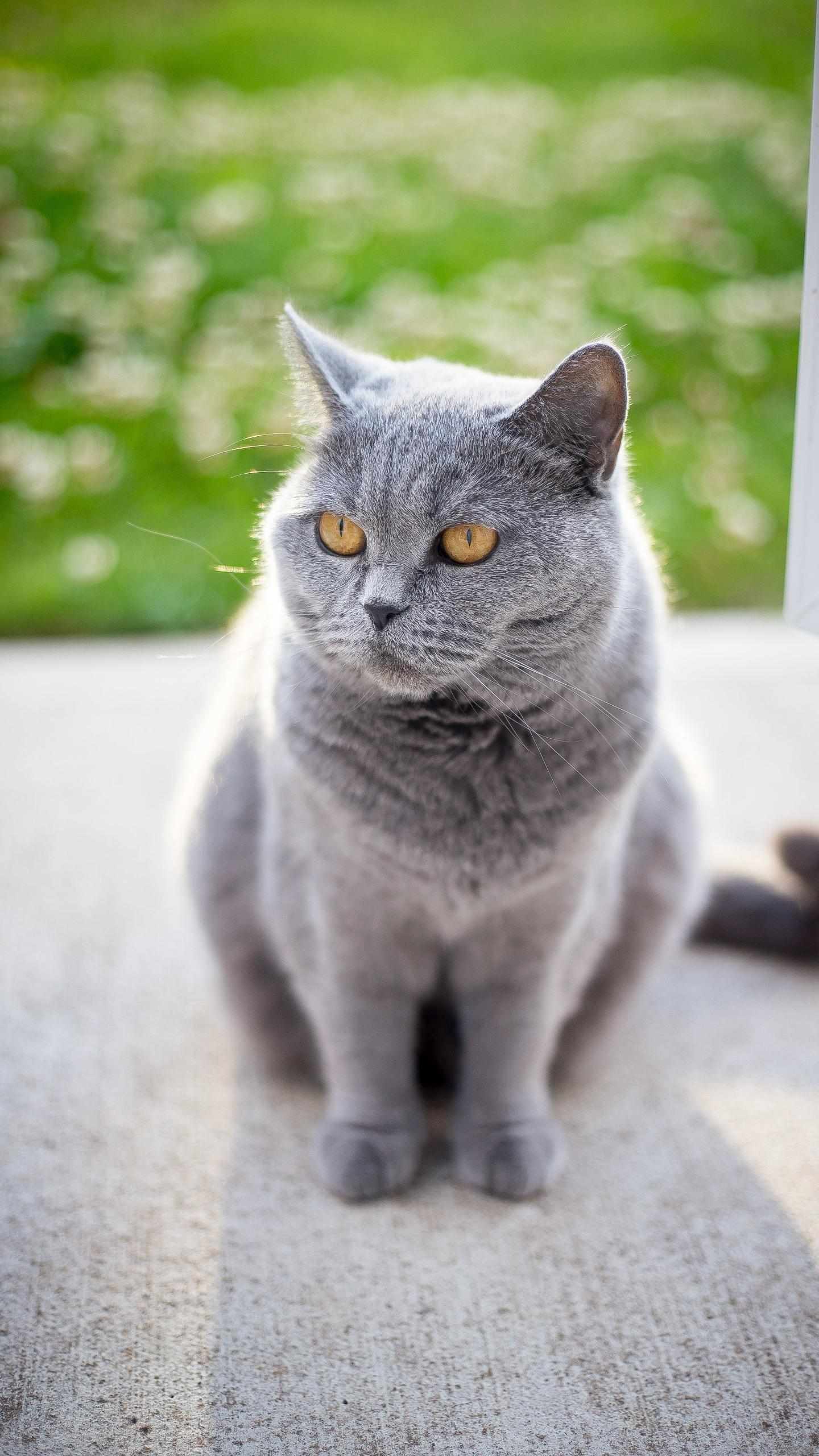 今天进的无一幸免[滴汗]_和而泰(002402)股吧_东方财富网股吧