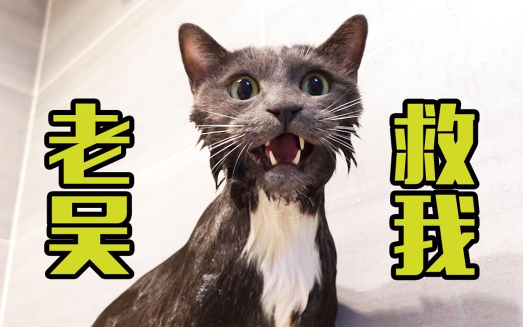 2020年3月底之前 创业板新政全面铺开(实施)追高短期被套风险大于收益