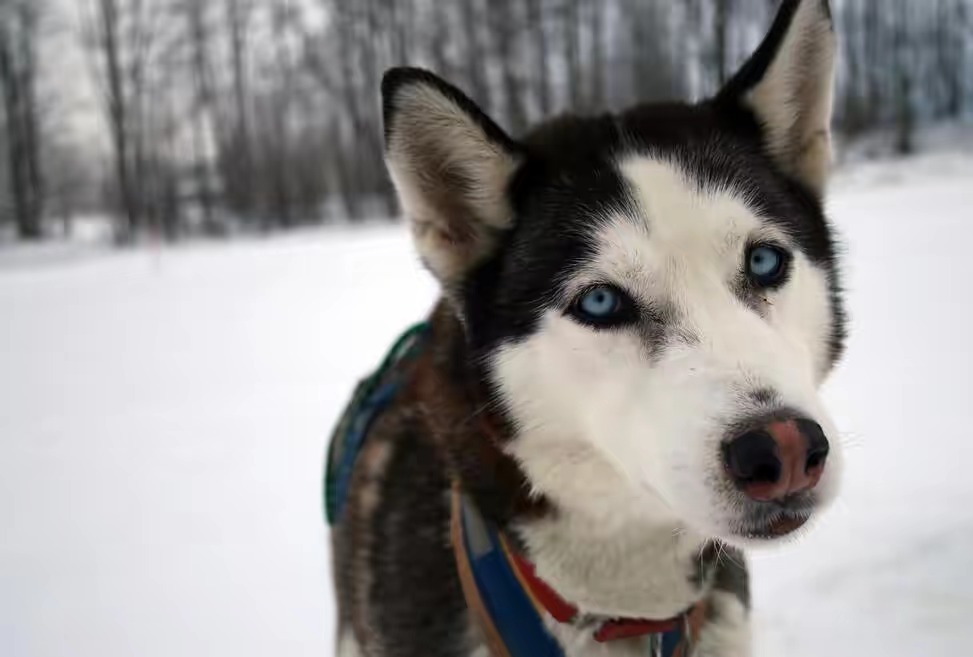 迷离的小眼神,处处看空!