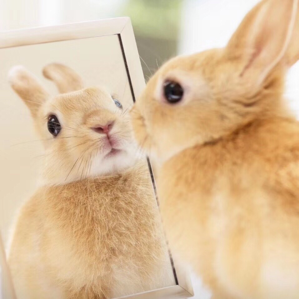 傻眼看着,无助中