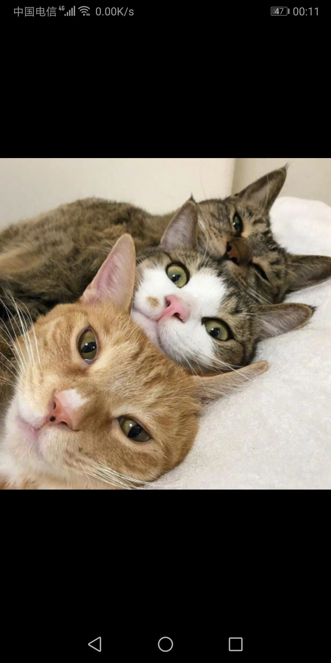 07:54:40作者发表于 2019-12-13 00:12:19快点去找华大基因一直在留你