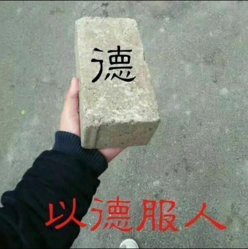 散户手持凯龙问苍天何时涨停成股仙庄家回复老铁你别闹小酒喝完快睡觉