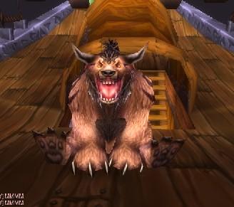 牛头熊身,德鲁伊