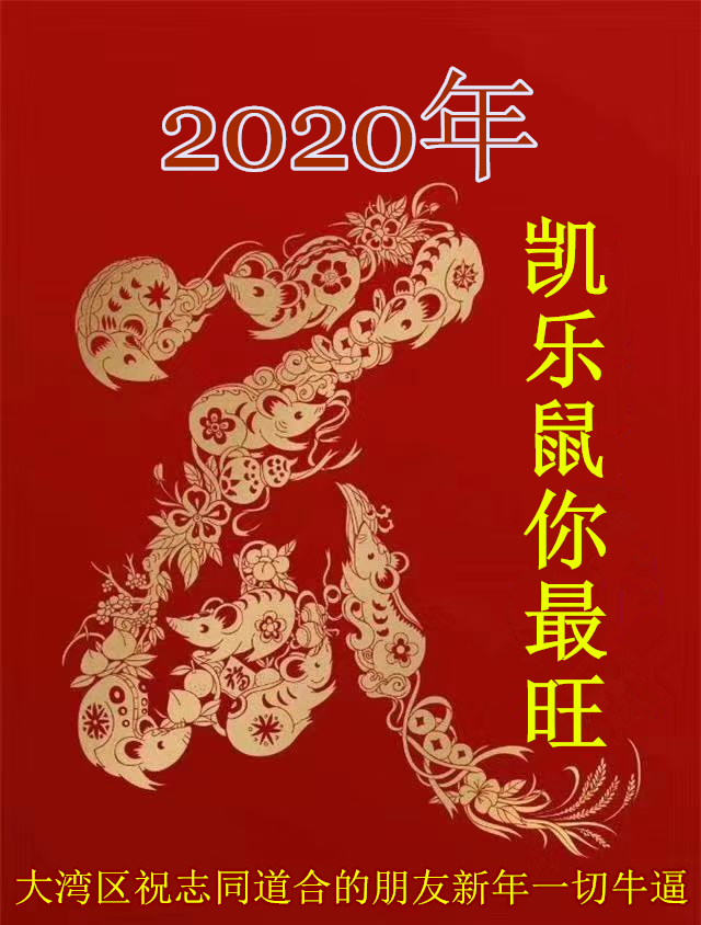 置顶大湾区祝志同道合的股友2020年一切牛逼新年快乐
