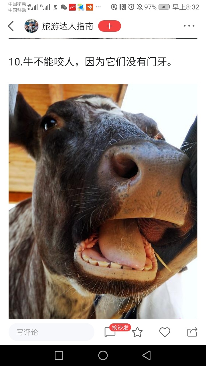 结果丢了筹码!而票反而还涨停