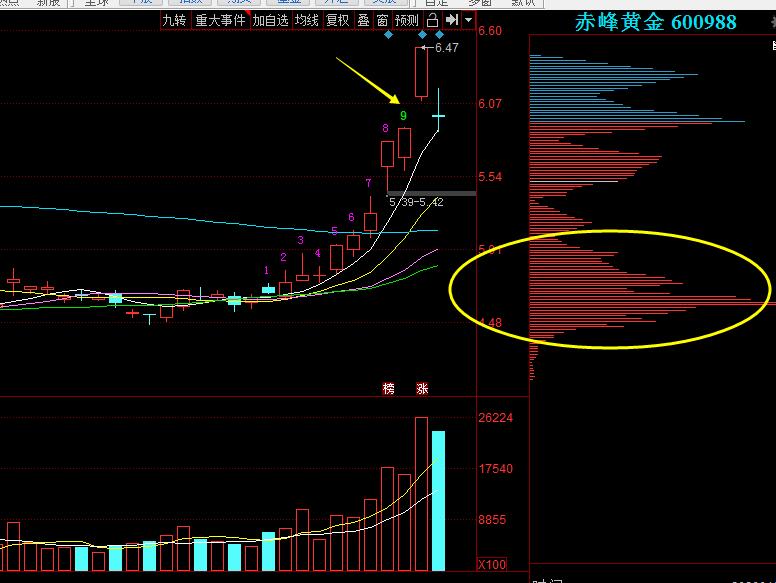 1B5D210EA79FE9474092E541EC60D69F_w776h583.jpg