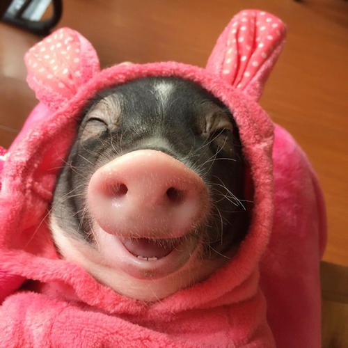 不消化4月份几千万股13元成本解禁前别想上涨