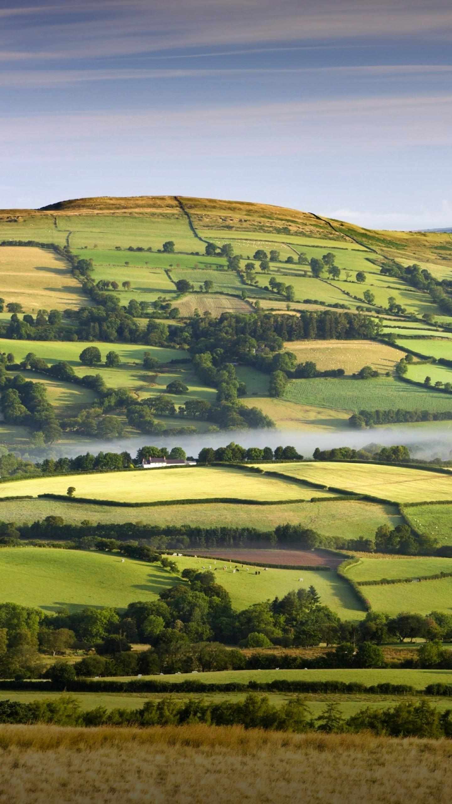 庄园牧场是一只好股票,当一个人发现好股票时,最大的希望就是希望它别