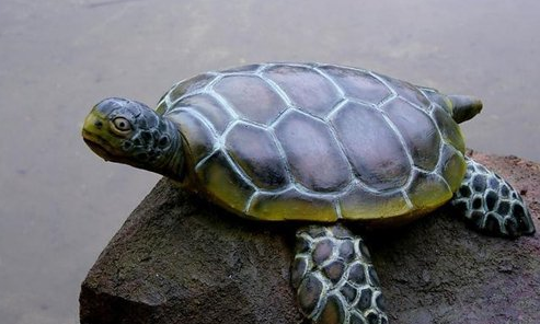 鳌,龙头龟身;不是鳖