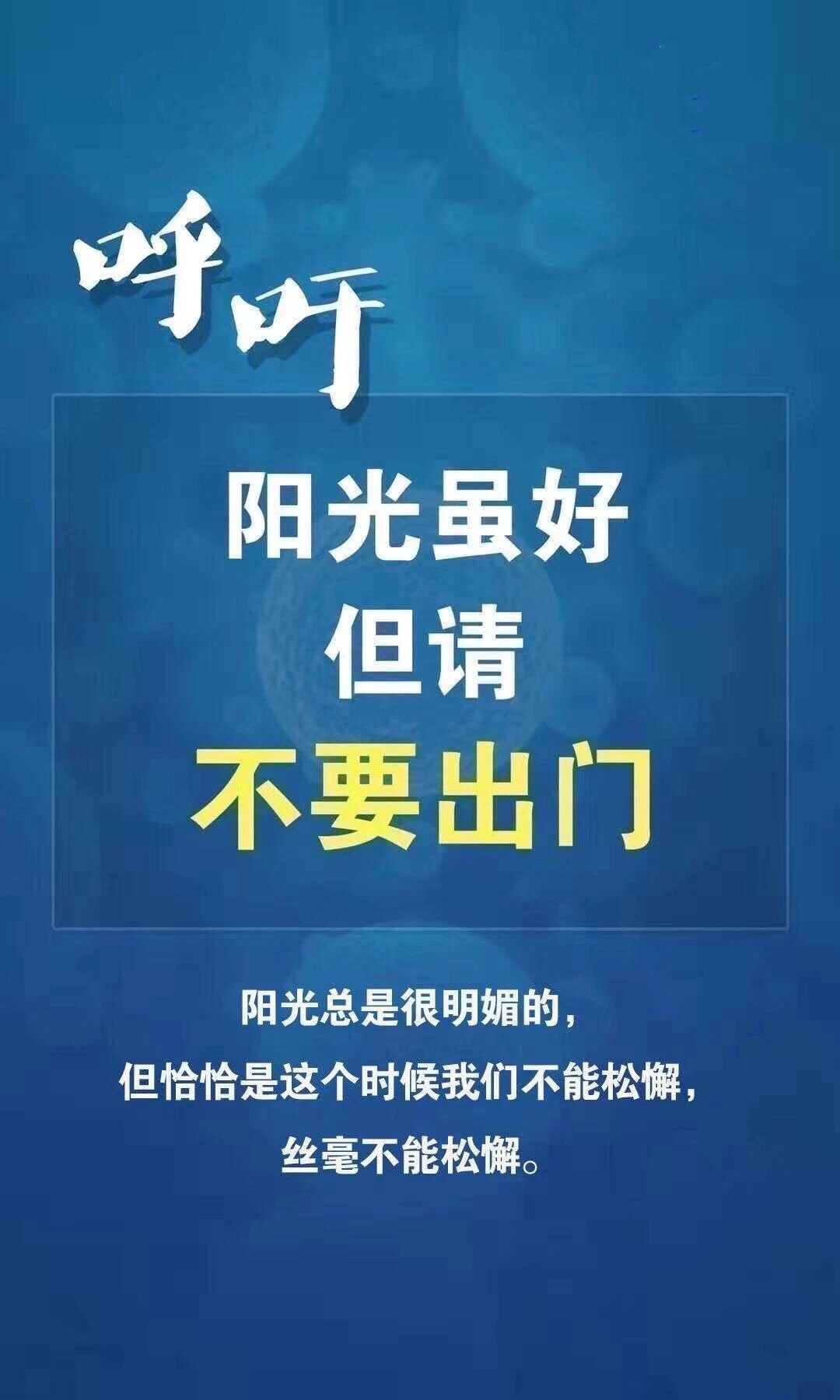 买入尚荣转债当天都可以转股.转股代码128053