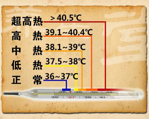 在千百万年的进化中,我们的祖先也早已通过生死考验