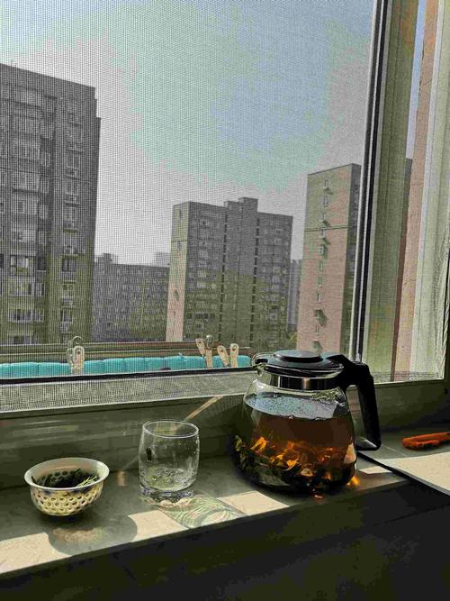 天气晴好,窗前喝茶乐融融