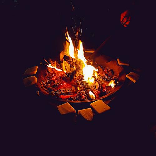 火起来[牛][牛][牛]