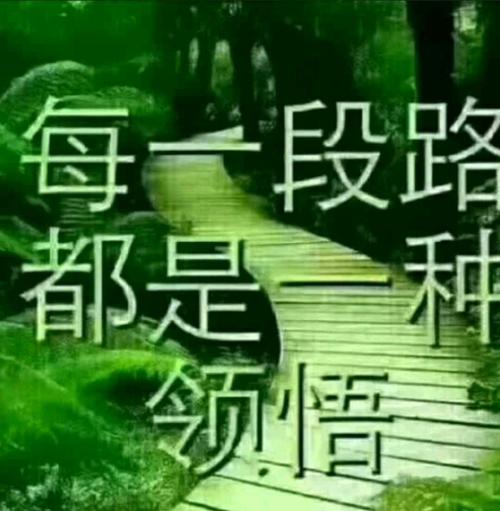 每一段路都是一种领悟
