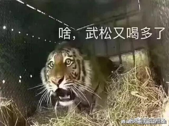 啥武松又喝多了?