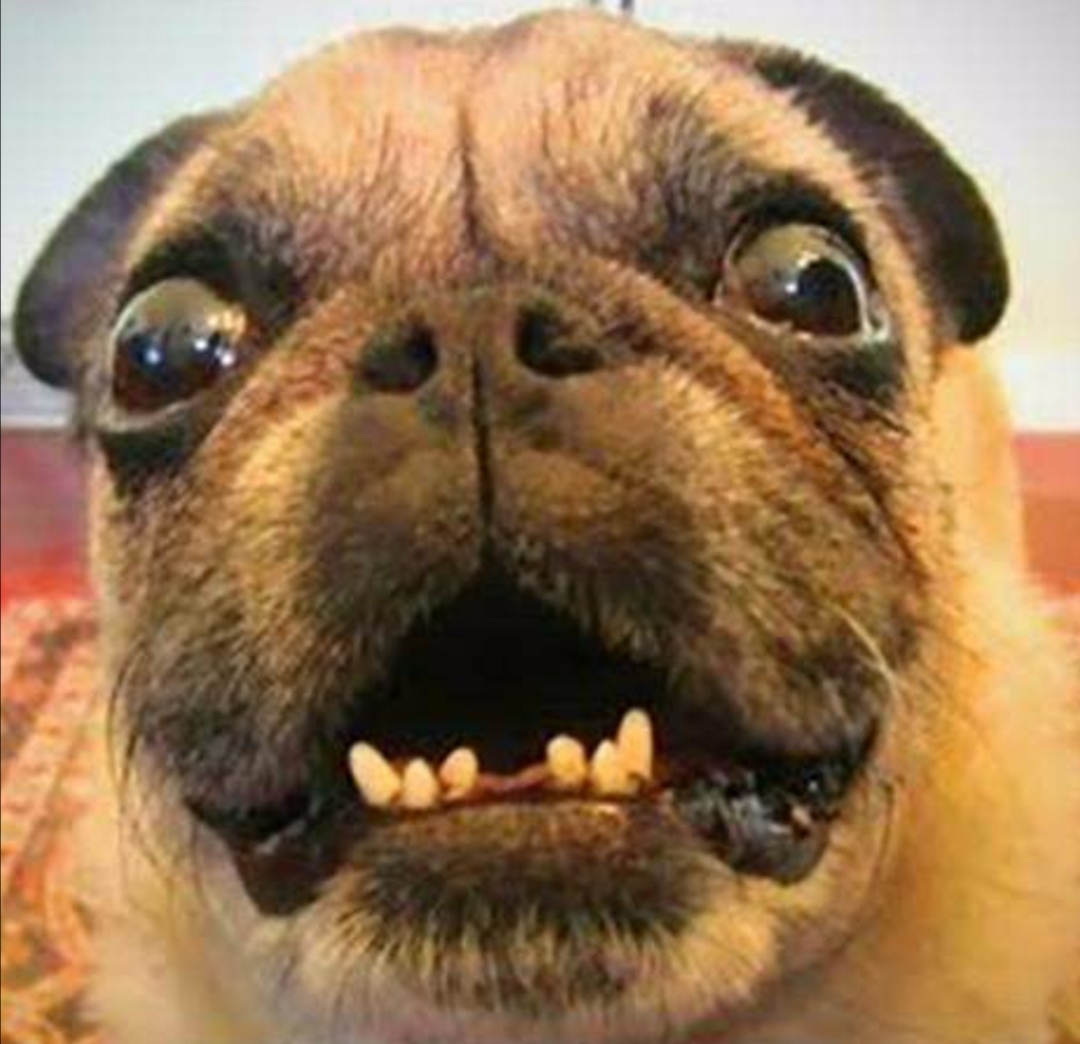 想在下周一跑的是痴心妄想,直接低开发套,关门打狗.10年后解套,不用谢