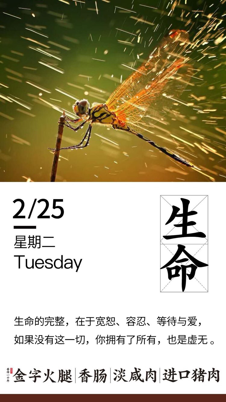 生命的完整,在于宽恕,容忍,等待与爱,如果没有这一切,你拥有了所有