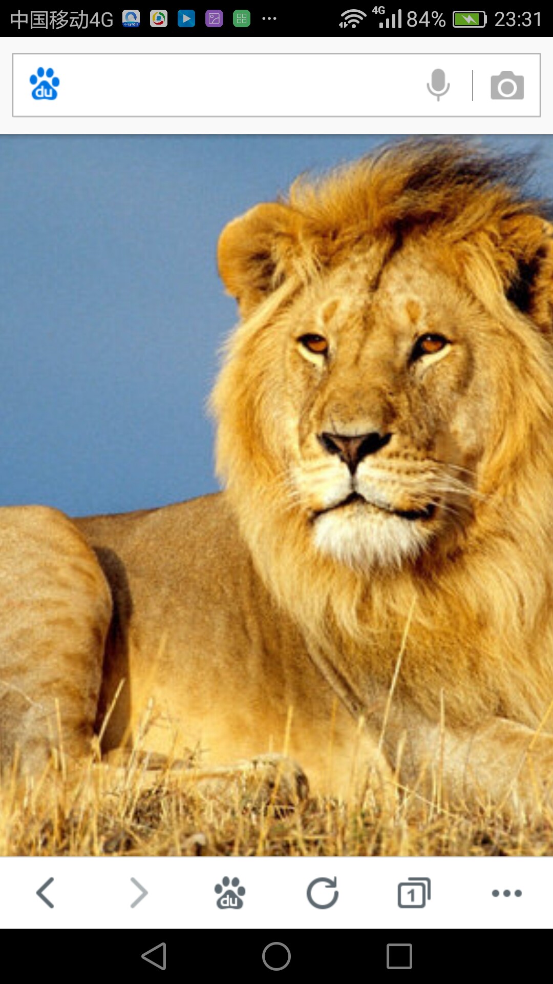 醒狮咆哮,千年等一回.