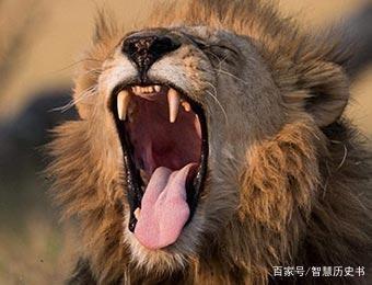 【复旦复华是一只沉睡中的雄狮】有一天它醒来,会惊动世界