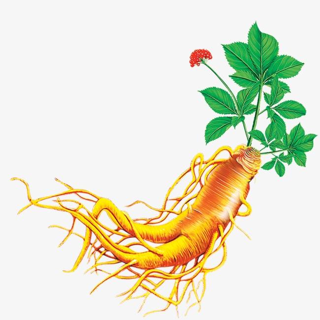 中医现在主要是中药认可度提升