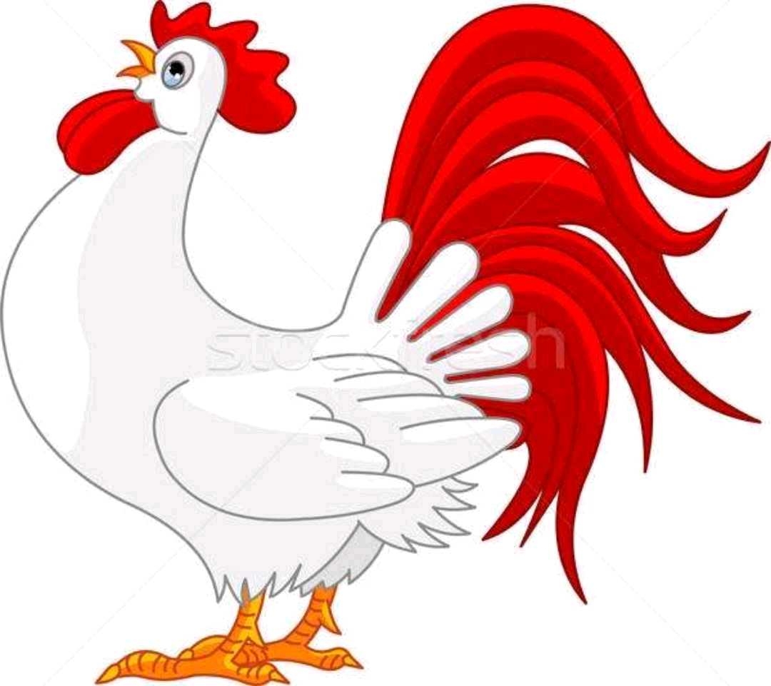 一一一天天基金网