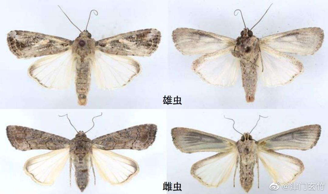 你们是在谈论我吗