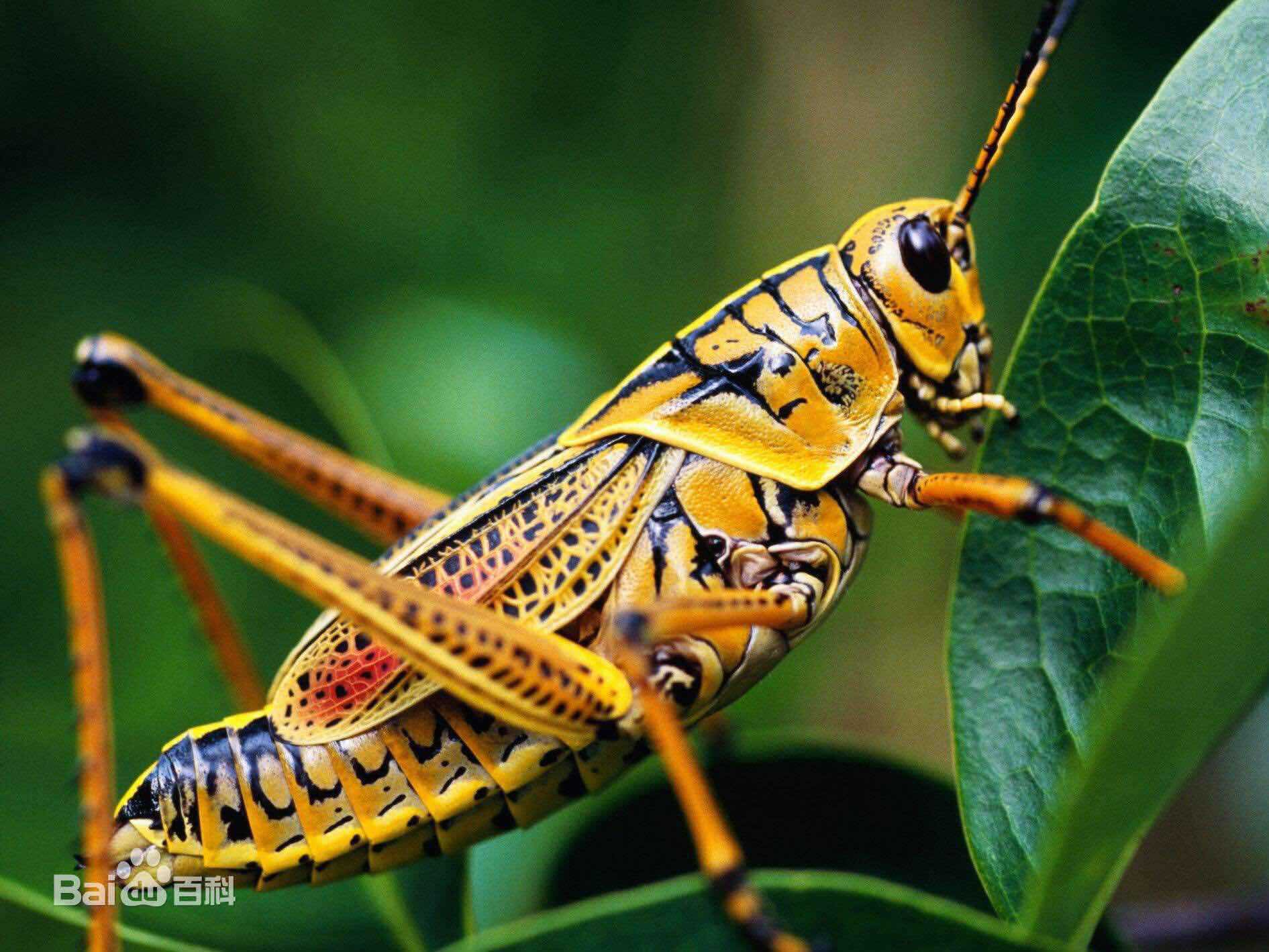 【盘中交易提示】$长青股份(sz002391)$此股上周五