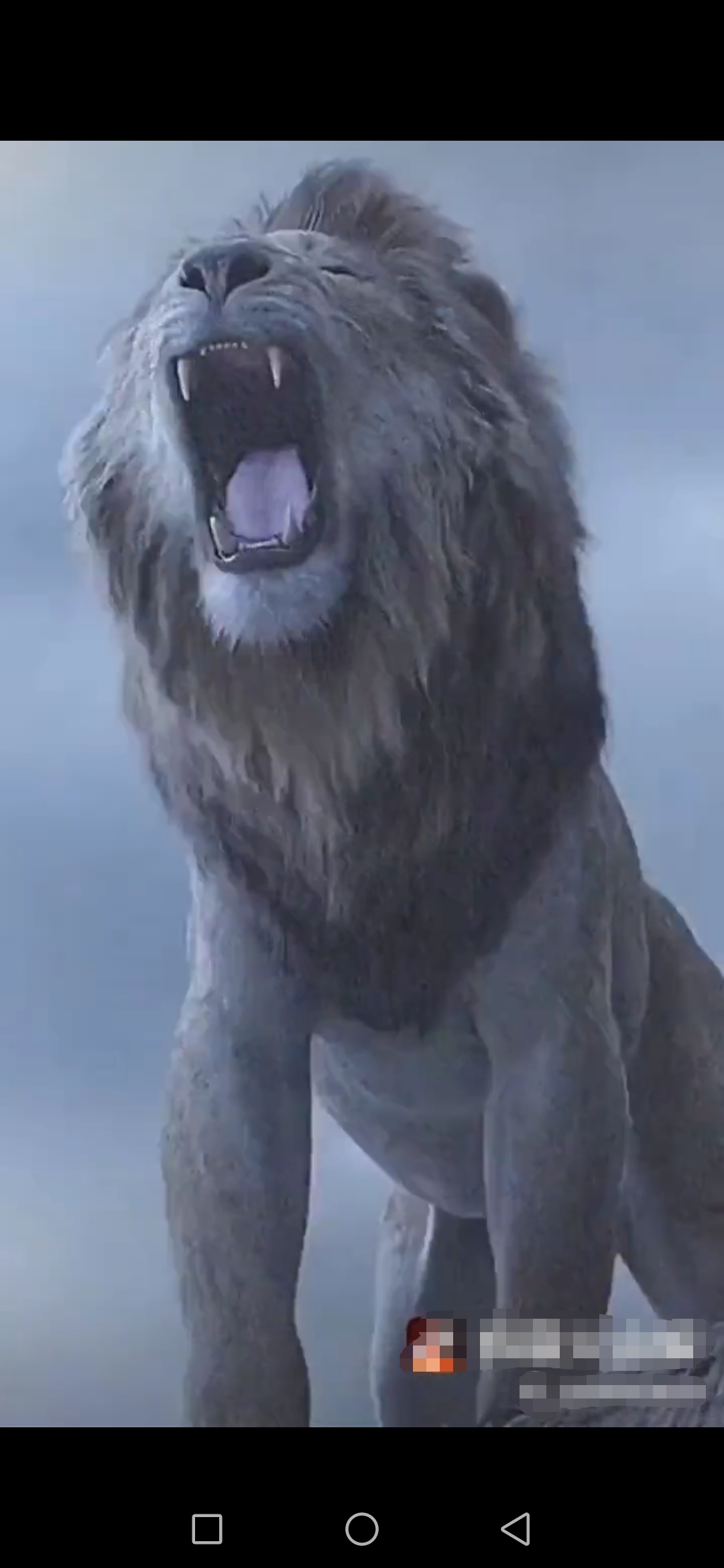 《七绝 61 狮王》(三猫)_博客_东方财富网