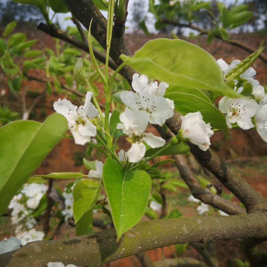 日志~541建536加一517加二514加三还能再下那就继续