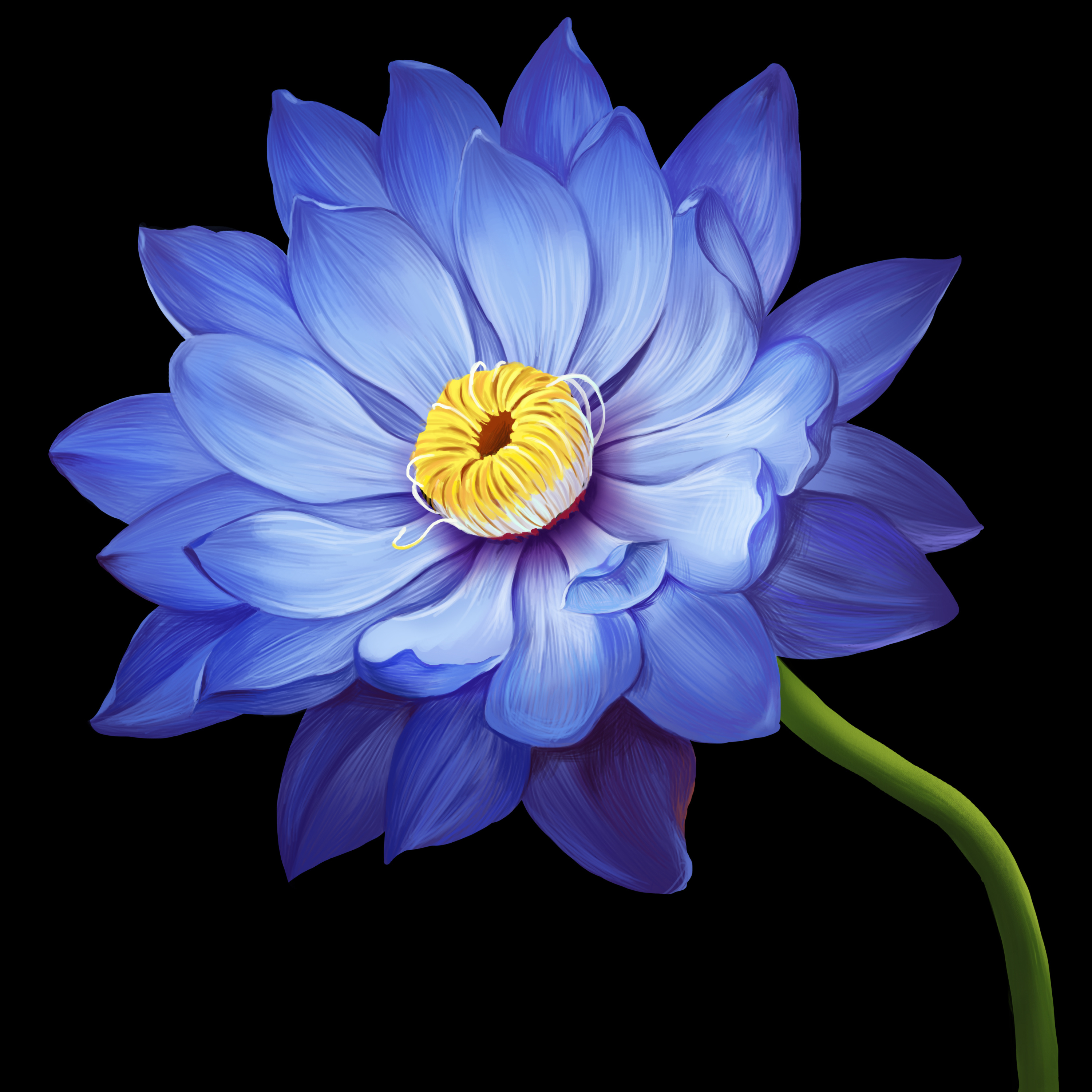 休闲娱乐贴--快乐炒股