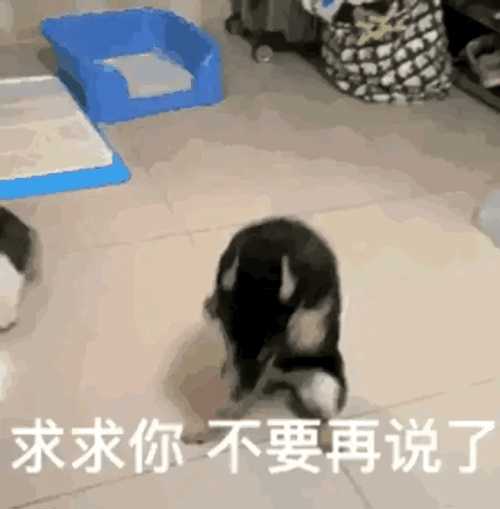择菜沙雕文案,择菜沙雕文案怎么写