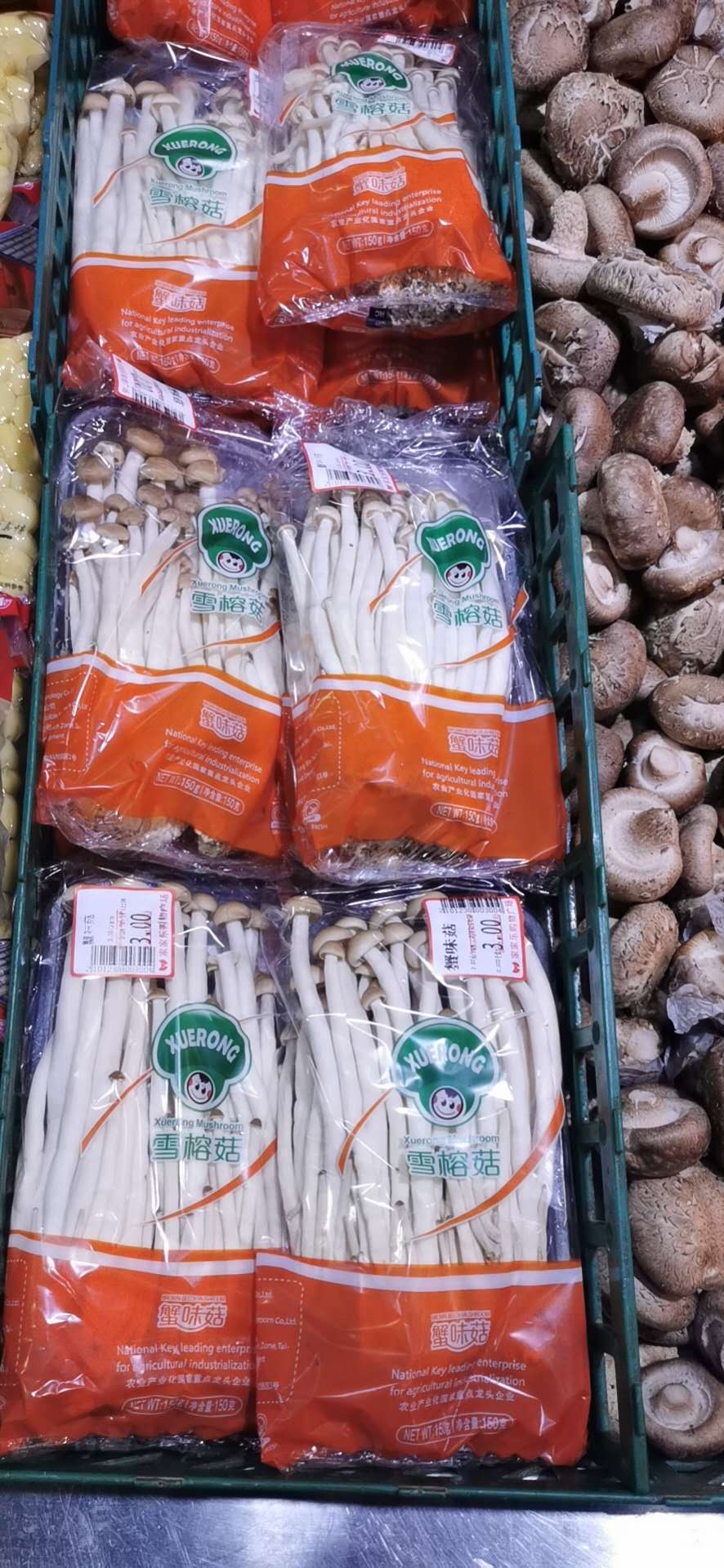 超市蘑菇种类图片