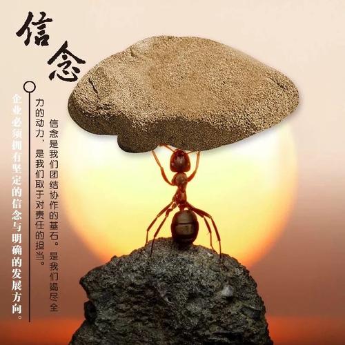 做好二件事一是知道如何选择别左顾右盼莫贪多求快找一条适合自己走的