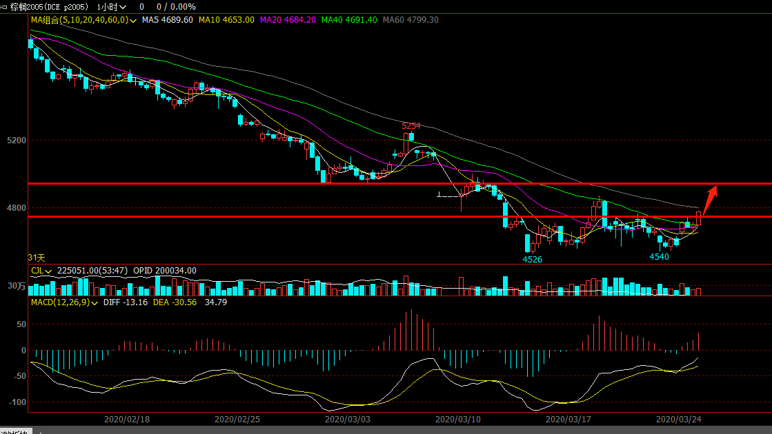 阿根廷疫情GDP_阿根廷龙(2)